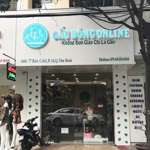 gấu bông giá rẻ