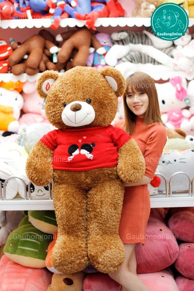 Gấu teddy áo kissme