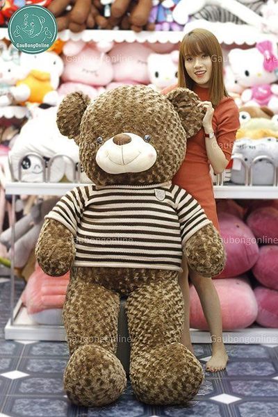 gấu teddy