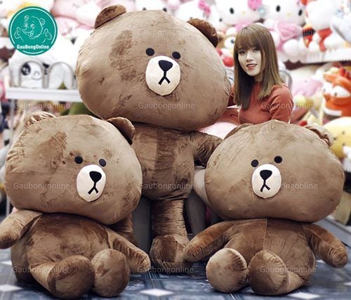 gấu brown và thỏ cony