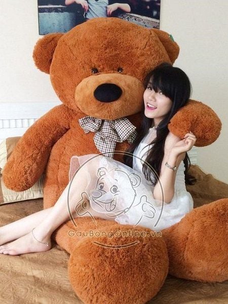 gấu teddy