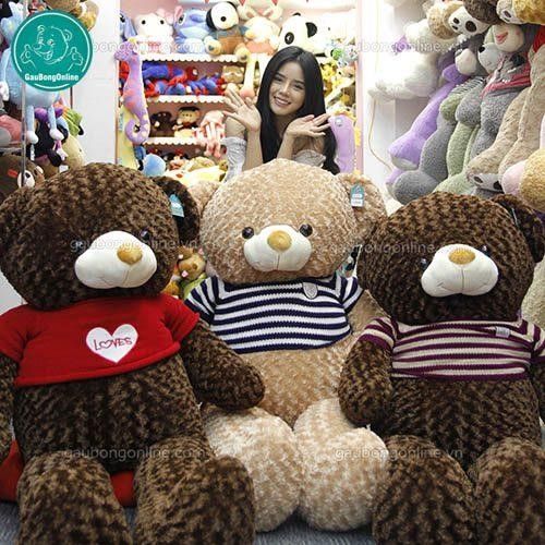 gấu teddy