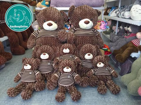 gấu teddy
