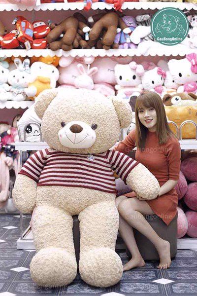 gấu teddy