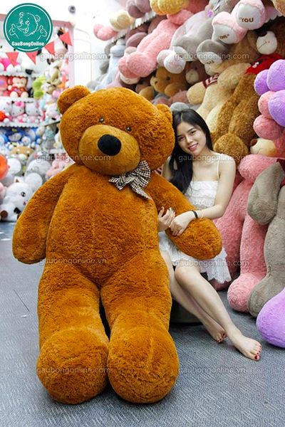 gấu teddy 1m6