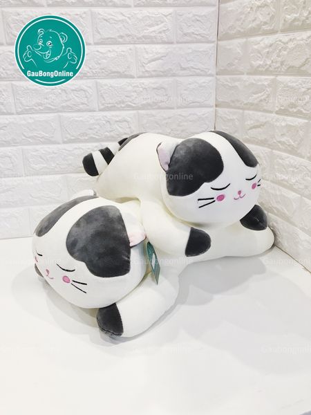Mèo trắng nằm