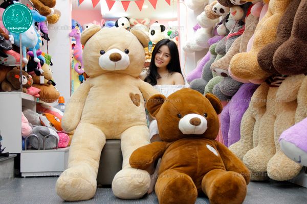 Gấu Teddy 1m8 - 2m