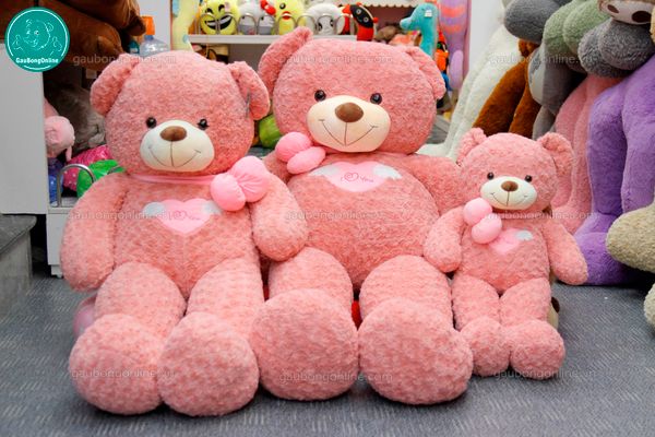 Gấu Teddy 1m6