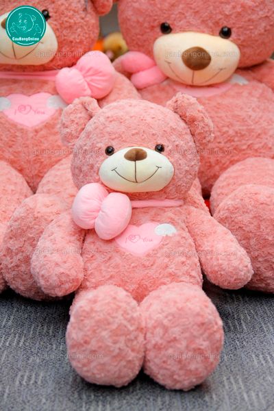 Gấu teddy angle hồng