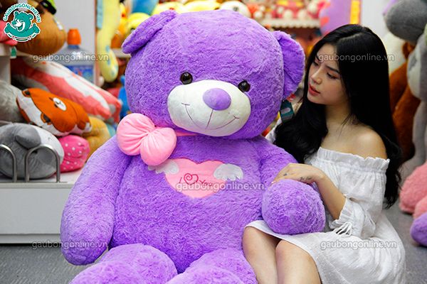 Gấu teddy angle tím