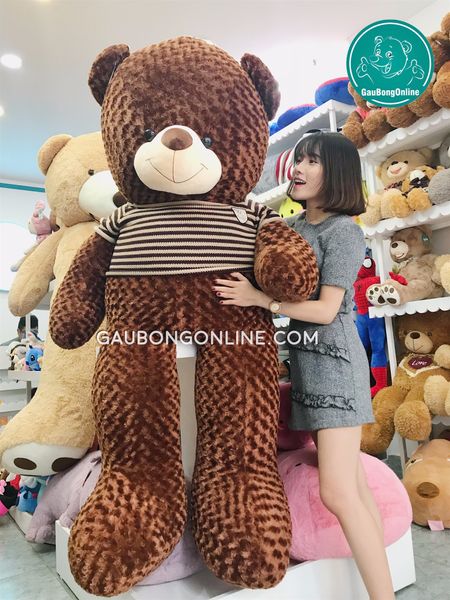 gấu teddy 1m