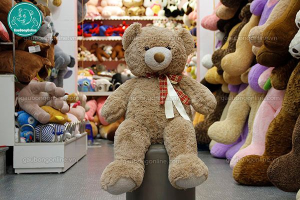 Địa chỉ bán gấu bông teddy tại TP HCM chính hãng ngày valentine