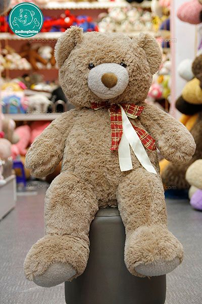 gấu teddy 1m