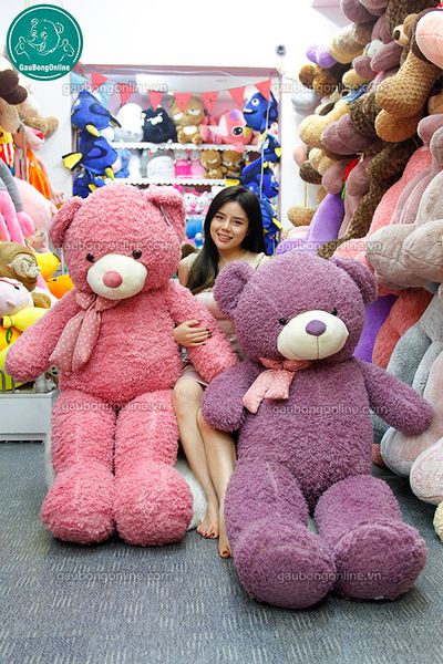 gấu bông teddy xù