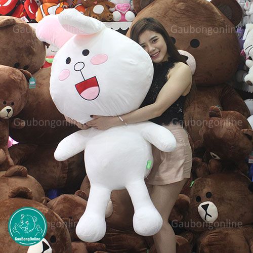 thỏ cony