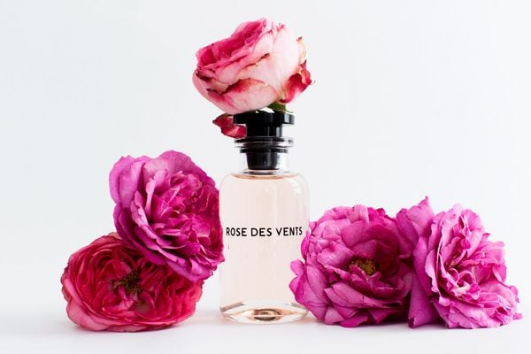 Louis Vuitton Rose Des Vents – SoMa Authentic House