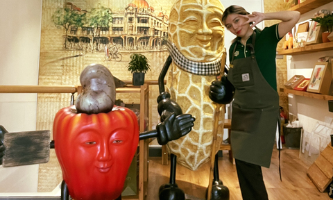 Five-Star Standards Rooted in Simplicity