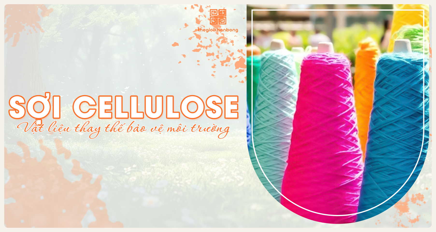 Sợi cellulose là gì? Phân loại, ưu nhược điểm và ứng dụng