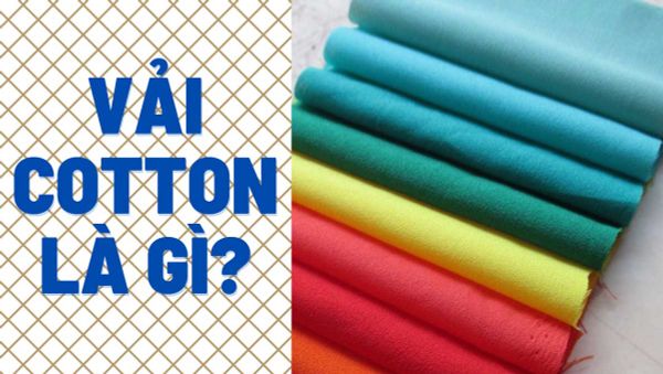 Vải cotton 100% là gì? Đặc điểm và cách nhận biết chính xác
