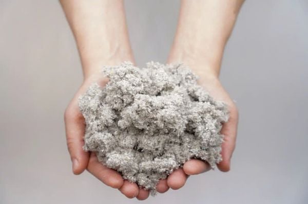 sợi cellulose