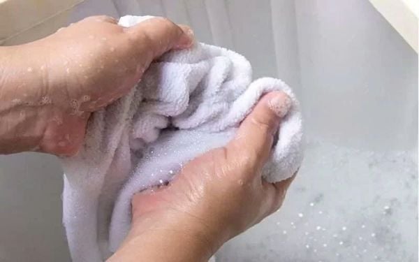 kiến bu vào khăn tắm