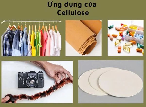 sợi cellulose