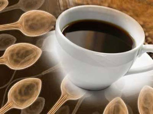 cafe tăng cường khả năng sinh dục
