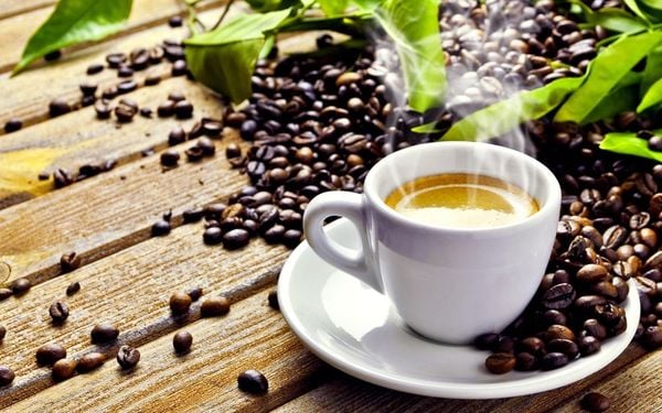 ly cafe hạt robusta arabica