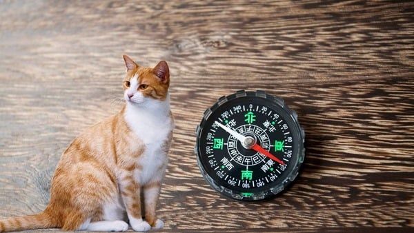 Người sinh năm 1975 thuộc tuổi gì?