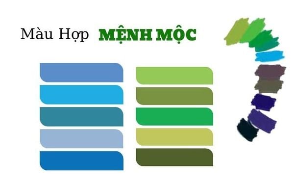 Người tuổi thìn 1988 hợp màu gì? Sơn nhà màu nào?