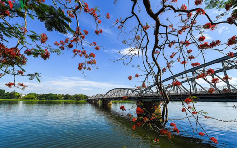 Cầu Trường Tiền bắc ngang con sông Hương thơ mộng dưới những tán hoa phượng đỏ rực