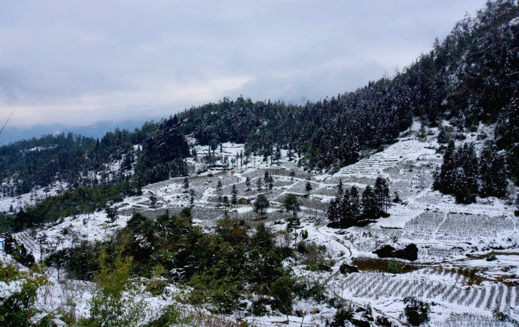 Toàn cảnh nhà cửa, cây cối núi rừng Sapa bao phủ màu tuyết trắng vào mùa đông