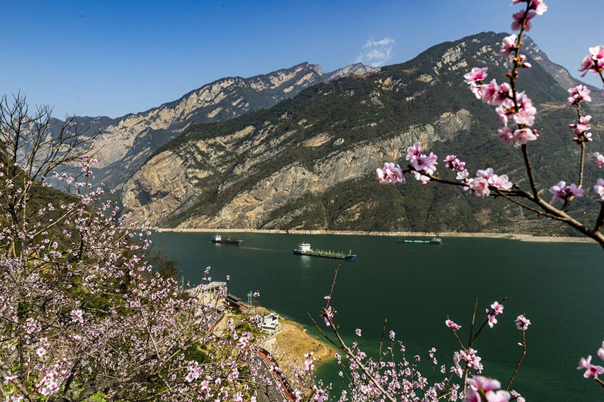 Mùa xuân Trung Quốc, hoa đào nở, xa xa là những dãy núi cao xanh bên dòng nước xanh trong
