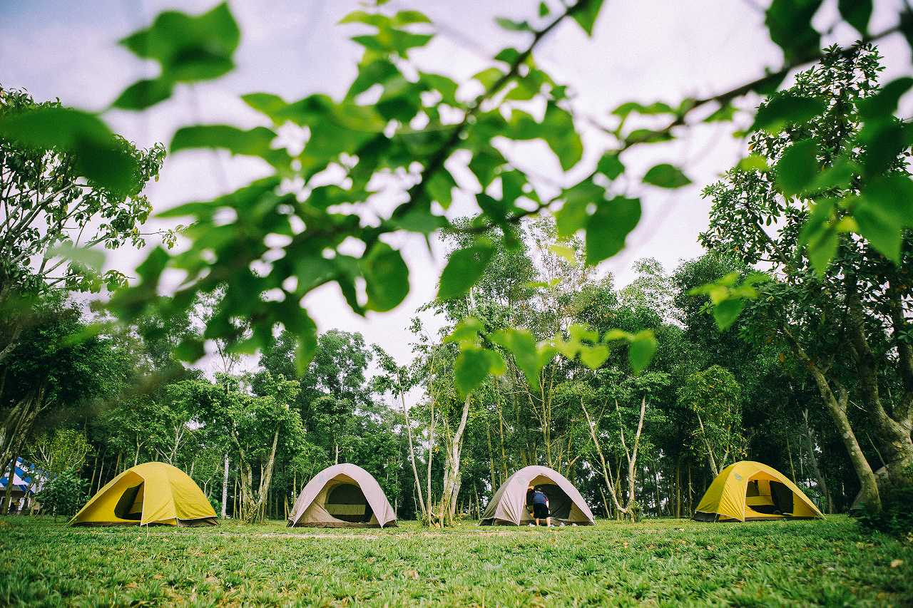 Glamping Việt Nam những điều cần biết để kinh doanh  eDulich