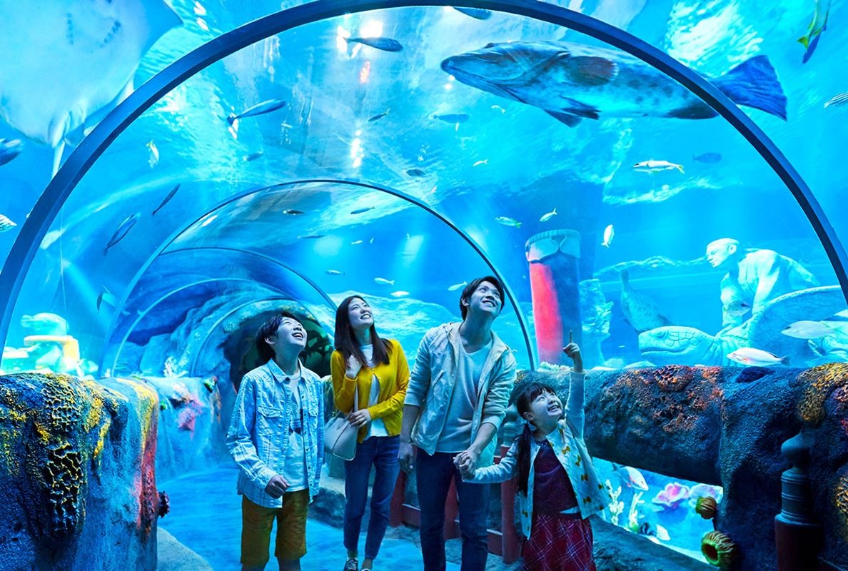 3 người lớn và 1 bé gái đang thích thú tham quan đại dương xanh dưới Thuỷ cung S.E.A Aquarium