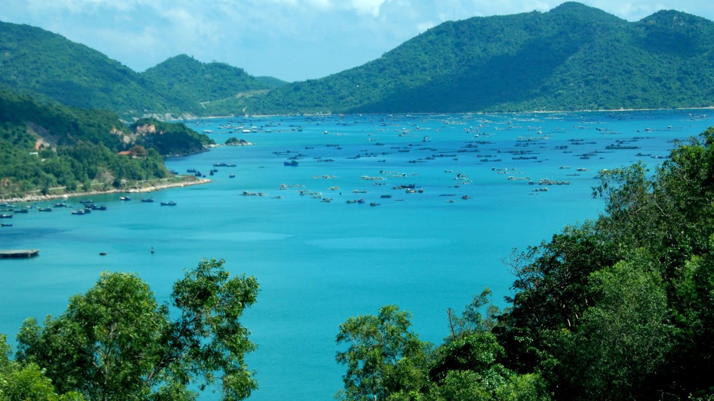 Vịnh Vũng Rô ở Phú Yên với non nước biển xanh giữa những đồi cây xanh rì