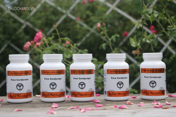 vien-uong-dong-trung-ha-thao-aloha-pure-cordyceps-capsules