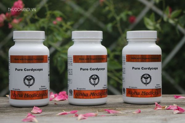 vien-uong-dong-trung-ha-thao-aloha-pure-cordyceps-capsules