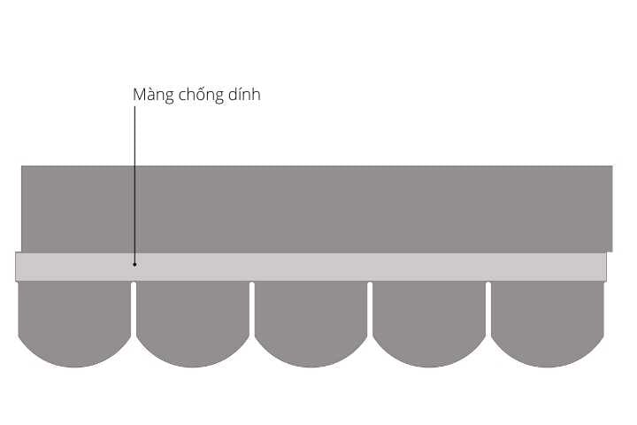 Mặt sau