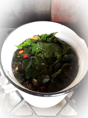 TẮM LÁ GÌ TRONG VƯỜN NHÀ