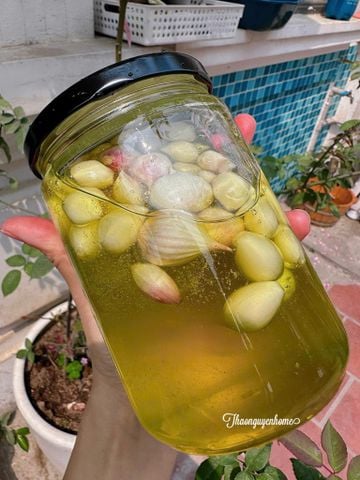 Tổng hợp các bài kết hợp chưng giảm ho từ lá cây quanh nhà