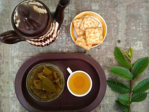 TÁC DỤNG CỦA NƯỚC LÁ ỔI VỚI TIỂU ĐƯỜNG