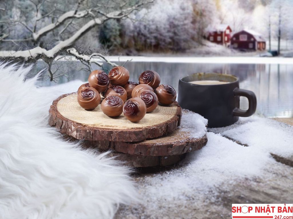 Sô cô la Trefin Chocolate Truffles Giftwrap (hình nấm) 200g