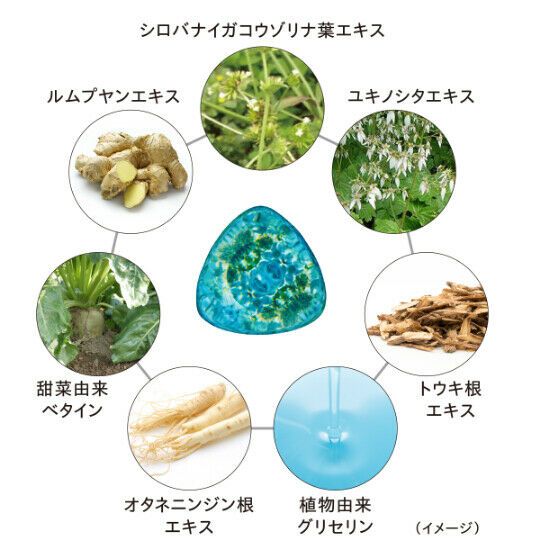 Serum Haku Botanic Science Shiseido trị nám 30ml mẫu mới 2020