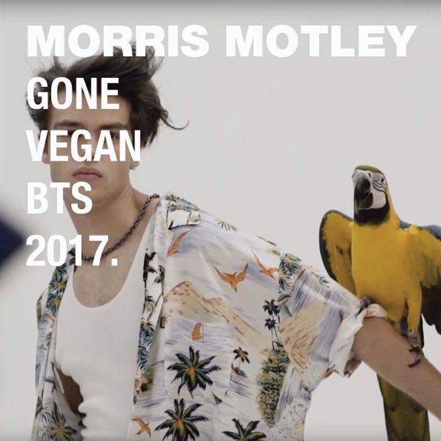 MORRIS MOTLEY - GONE VEGAN CAMPAIGN - Behind The Scenes