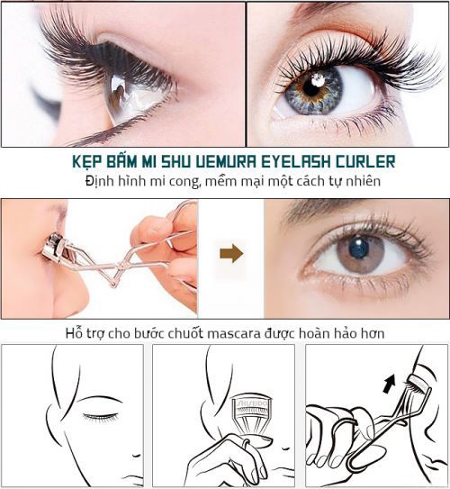 Kẹp Bấm Mi Shu Uemura Eyelash Curler Nhật Giúp Mi Cong, Dài Hơn – TIẾN  THÀNH BEAUTY