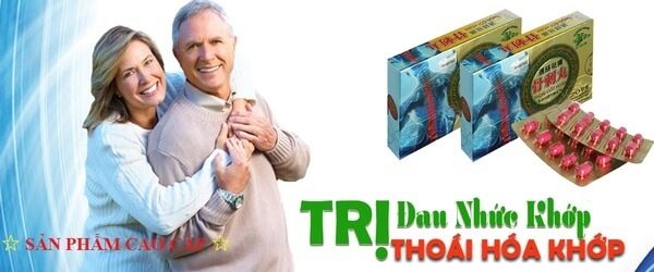 Thoái Cốt Hoàn trị đau nhức xương khớp