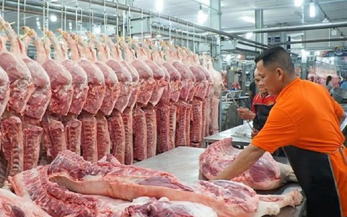 Nhiều lí do khiến giá heo hơi tăng nhanh sau Tết