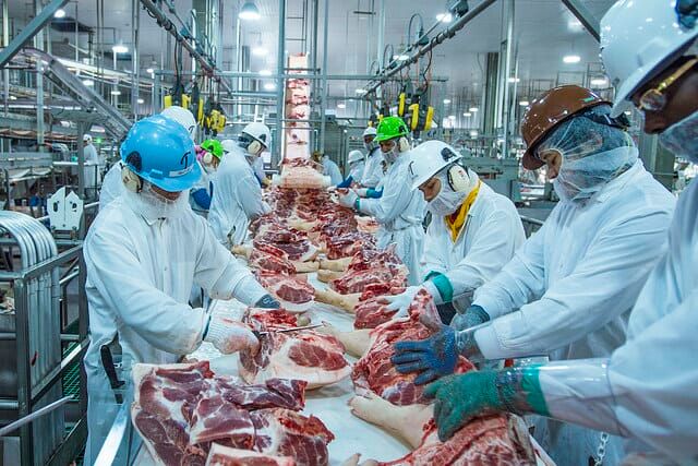 Ngành chế biến thịt ở Đức điêu đứng khi người tiêu dùng ‘ngán’ thịt heo