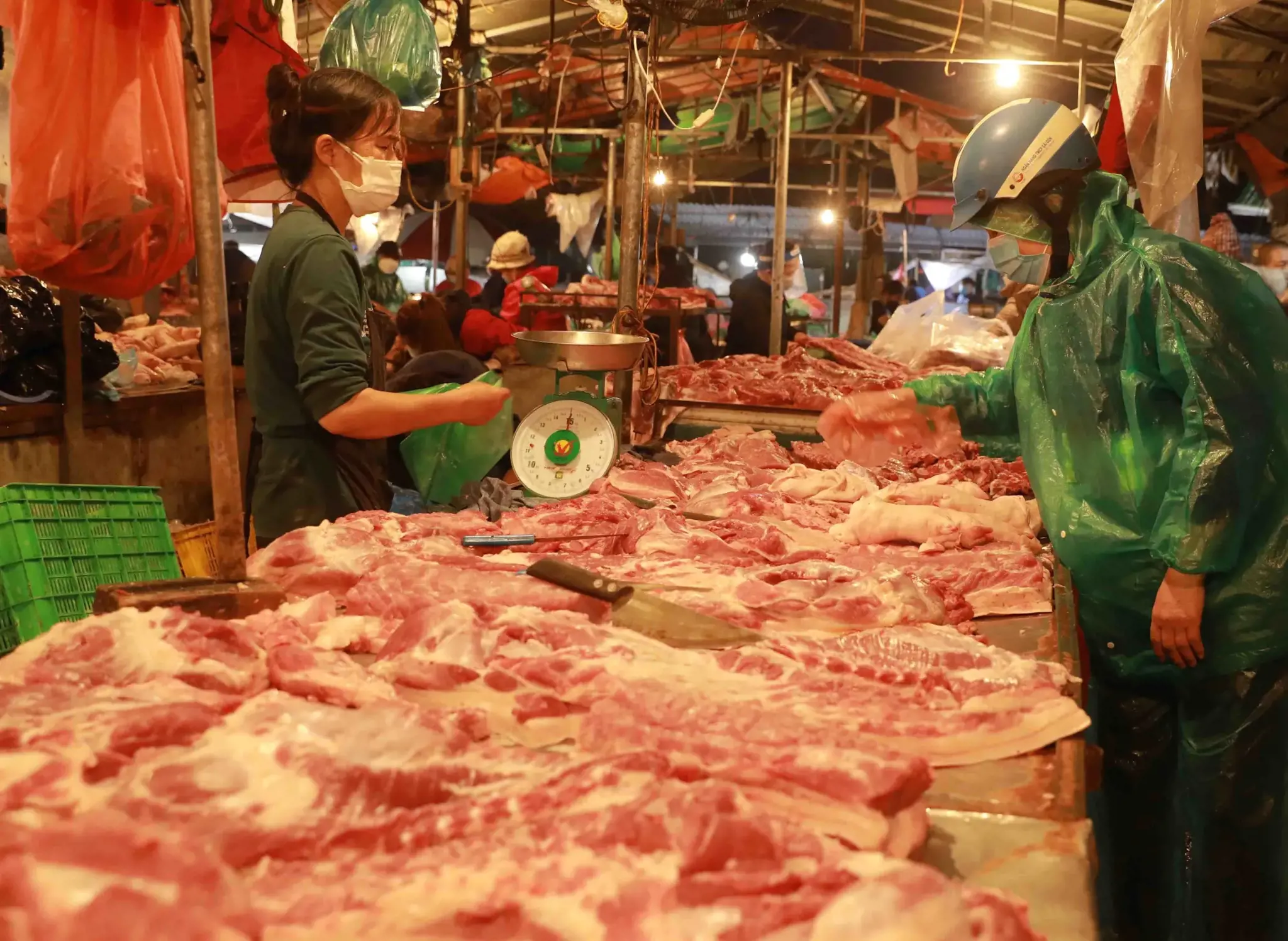 Giá lợn hơi gần 8 triệu/con, ‘đại gia’ chăn nuôi lãi đậm, người mua méo mặt